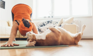 dog enjoying the yoga