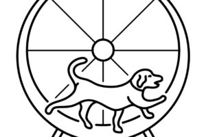 actual exercise wheel for dog